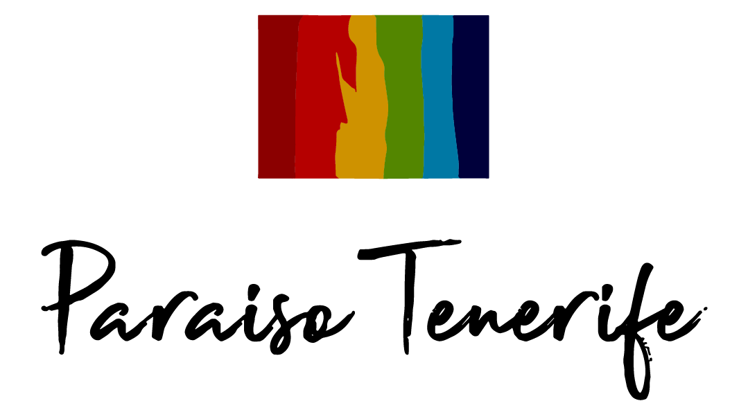 Inmobiliaria Tenerife Sur